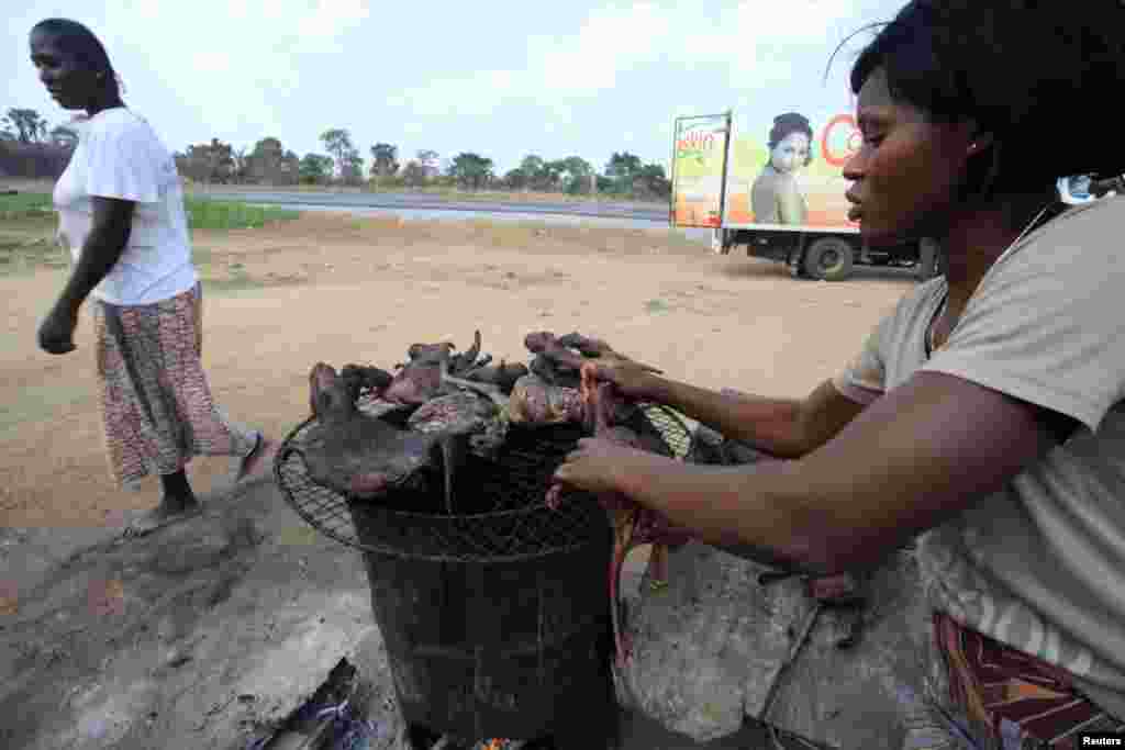 Une femme sèche la viande de brousse près d&#39;une route de l&#39;autoroute Yamoussoukro 29 mars 2014. La viande de brousse - de chauves-souris à des antilopes, des écureuils, porcs-épics et des singes &ndash; est souvent au menu des repas des familles en Afrique occidentale et centrale. REUTERS / Thierry Gouégnon (CÔTE-D&#39;IVOIRE - Tags: aliments de santé) - RTR3J4YW 