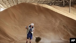 An employee sweeps up grains in a warehouse in the the village of Konstantinovo, some 60 km (37 miles) from the Southern Russian city of Stavropol, June 7, 2011