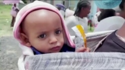 Tigray Conflict Fuels Major Humanitarian Crisis
