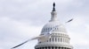 A seagull flies in the vicinity of the US Capitol building in Washington, DC on January 2, 2025.