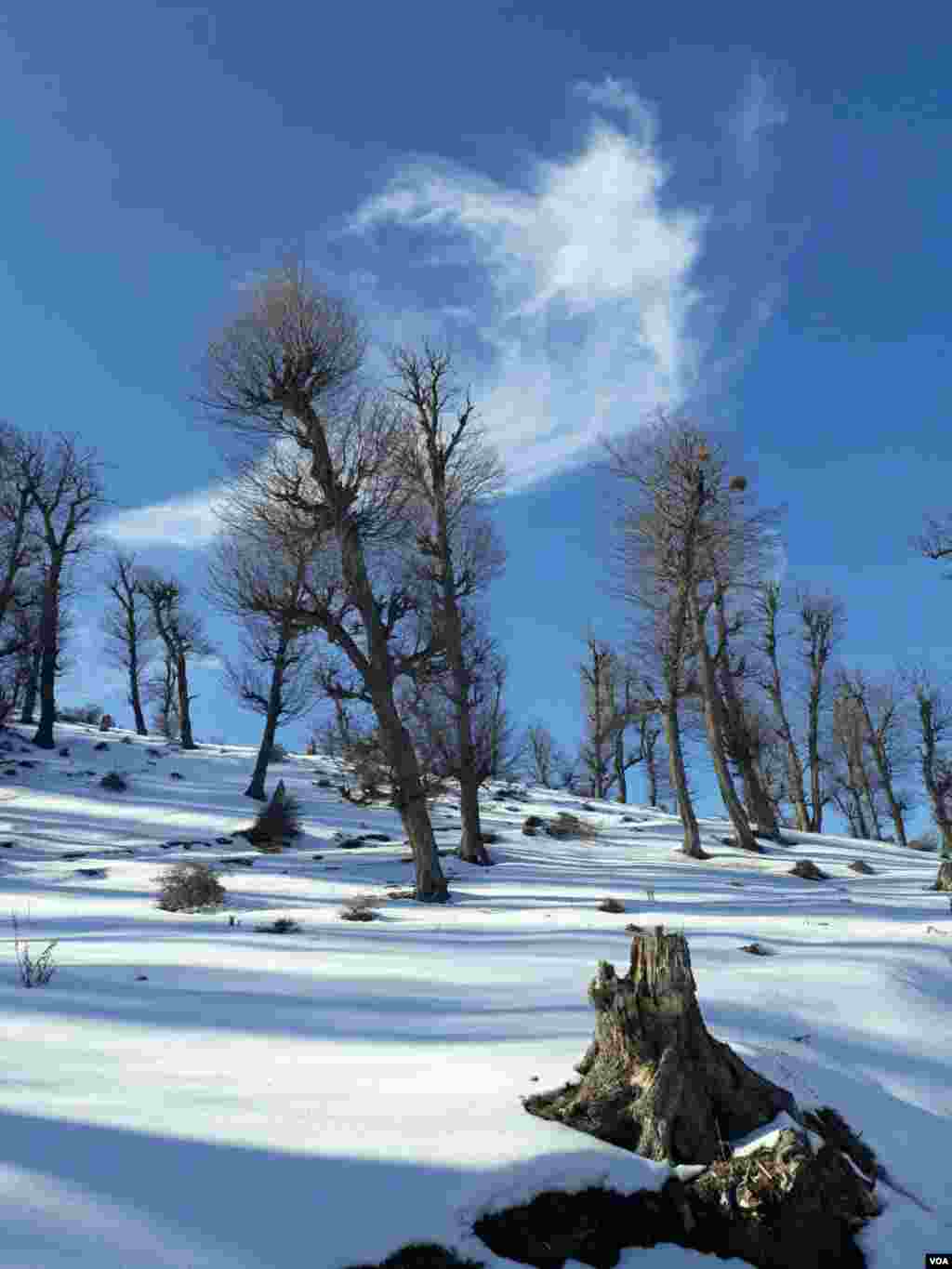 طبیعت زیبای زمستانی دم اجاق دهستان قلعه قافه بالا شهرستان مینودشت- گلستان عکس: سید محسن (ارسالی شما) 