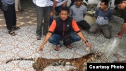 Tulang belulang harimau Sumatera yang berhasil disita polisi dari tiga tersangka pelakunya. (Courtesy: Polda Riau)