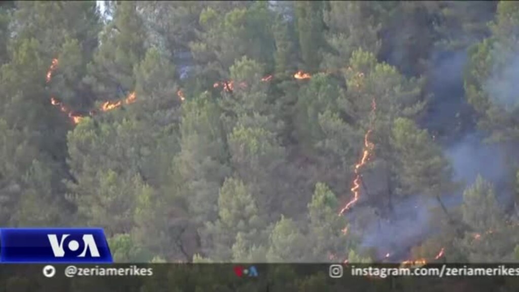 Bashkitë,kapacitete të vogla për të menaxhuar zjarret në Shqipëri