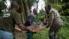 Hyène échappée, animaux mal nourris: fermeture du zoo d'Abidjan