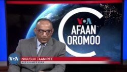 Tamsaasa Guyaadhaa Guyyaa