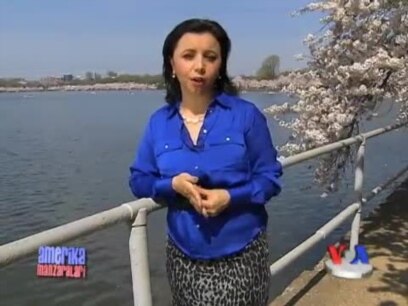 Iqtisod va muhojirlar/Sequestration & Immigration