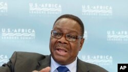 Malawi Official Dismisses Former President Mutharika’s Criticisms