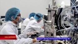 Vaccine của Việt Nam chưa thể ra mắt vì thiếu dữ liệu về hiệu nghiệm | Truyền hình VOA 23/9/21