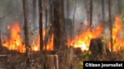 ລາວສູນເສຍປ່າໄມ້ ປີລະຫລາຍກວ່າ 7,000 ເຮັກຕາ ທີ່ມີສາ ເຫດມາຈາກບັນຫາໄຟໄໝ້ປ່າ ທີ່ເກີດຂຶ້ນ ຈາກການກະທຳຂອງ ຂະບວນການລັກລອບຄ້າໄມ້ເຖື່ອນຢູ່ເຂດ ຊາຍແດນລາວ ກັບ ປະເທດເພື່ອນບ້ານ.