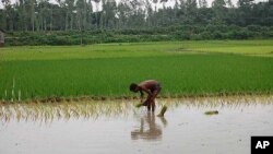 Left in the Cold at Copenhagen, Farmers Look to Future
