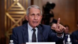 Top infectious disease expert Dr. Anthony Fauci responds to accusations by Sen. Rand Paul, R-Ky., as he testifies before the Senate Health, Education, Labor, and Pensions Committee, on Capitol Hill in Washington, Tuesday, July 20, 2021. Cases of…