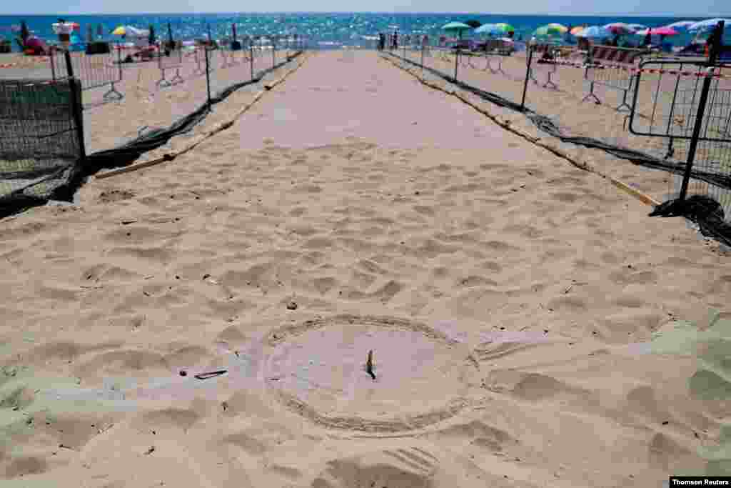 이태리 로마 해변에서 거북이알을 보호하기 위해 알이 묻힌 곳을 표시해 놓았다.