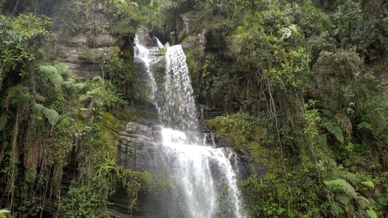 La Chorrera: la cascada más alta de Colombia envuelve en una experiencia mágica