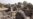 World Court Awards Some Territory to Cambodia in Temple Dispute