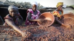 Supporting Women's Economic Participation