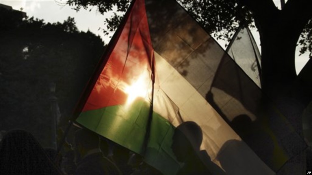 Egipćanka maše palestinskom zastavom u znak solidarnosti sa stanovnicima Gaze za vreme protesta zbog izraelske vojne operacije. 