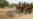 Jihar Kaduna na Gap da Samun Sabbin Kwamishanoni