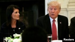 FILE - With U.S. Ambassador to the United Nations Nikki Haley at his side (L), U.S. President Donald Trump speaks during a working lunch with ambassadors of countries on the U.N. Security Council at the White House in Washington, April 24, 2017. 