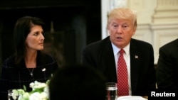 Dubes AS untuk PBB Nikki Haley (kiri) bersama Presiden AS Donald Trump, 24 April 2017. (Foto: dok).