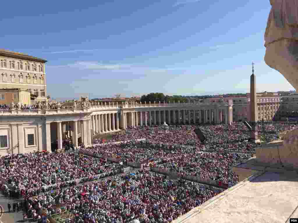 Más de cien mil peregrinos habían llenado la plaza para seguir la canonización ceremonia. [Foto: Celia Mendoza, VOA].