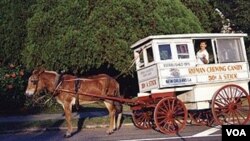 Ron Kotteman, and Rosie, on the job. You can tell this photograph was taken a few years ago, just by looking at the posted price for the “candy man’s” wares. (Carol M. Highsmith)