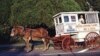 Ron Kotteman, and Rosie, on the job. You can tell this photograph was taken a few years ago, just by looking at the posted price for the “candy man’s” wares. (Carol M. Highsmith)