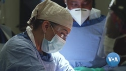 South Africa Doctors See Boom in Plastic Surgery During Pandemic