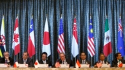 The Importance Of The TPP