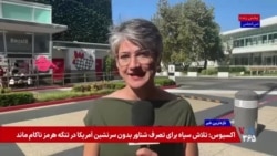 جوایز امی ۲۰۲۶؛ شبی با رکوردهای تازه و تکرار موفقیت برندگان سال گذشته