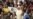 Pope: Unemployment Causes Grave Harm to Society, Family