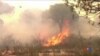 西班牙南部山火威脅到當地自然保護區