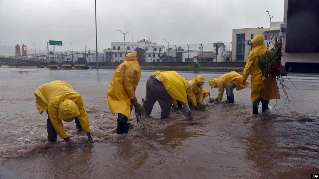 Petugas kebersihan kota mengumpulkan ranting-ranting dari jalanan yang tergenang banjir akibat hantaman badai Patricia, di Manzanillo, negara bagian Colima, Meksiko (23/10).