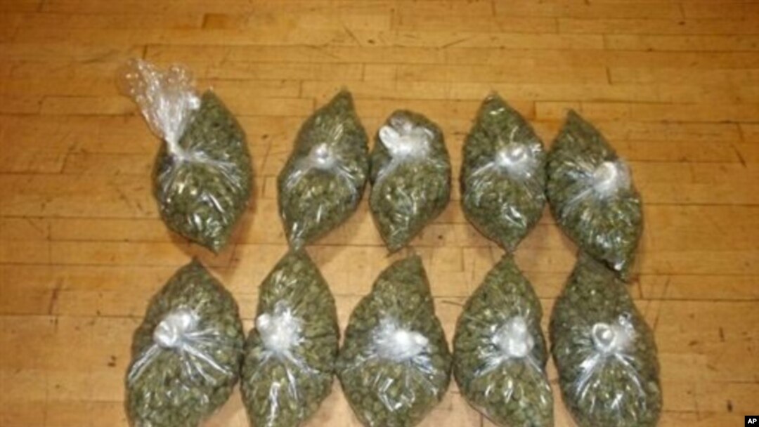 Di negara bagian Colorado dan Washington di AS, marijuana tidak dilarang digunakan orang dewasa untuk kesenangan pribadi (foto: Dok)..