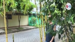 Jóvenes nicaragüenses denuncian que opositores no permiten el relevo generacional 