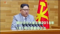 金正恩新年致辞穿浅灰衣服 韩专家称可能释放软化信号