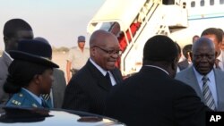 South African President Jacob Zuma, center, is greeted upon arrival in Harare, Zimbabwe, August 15, 2012.