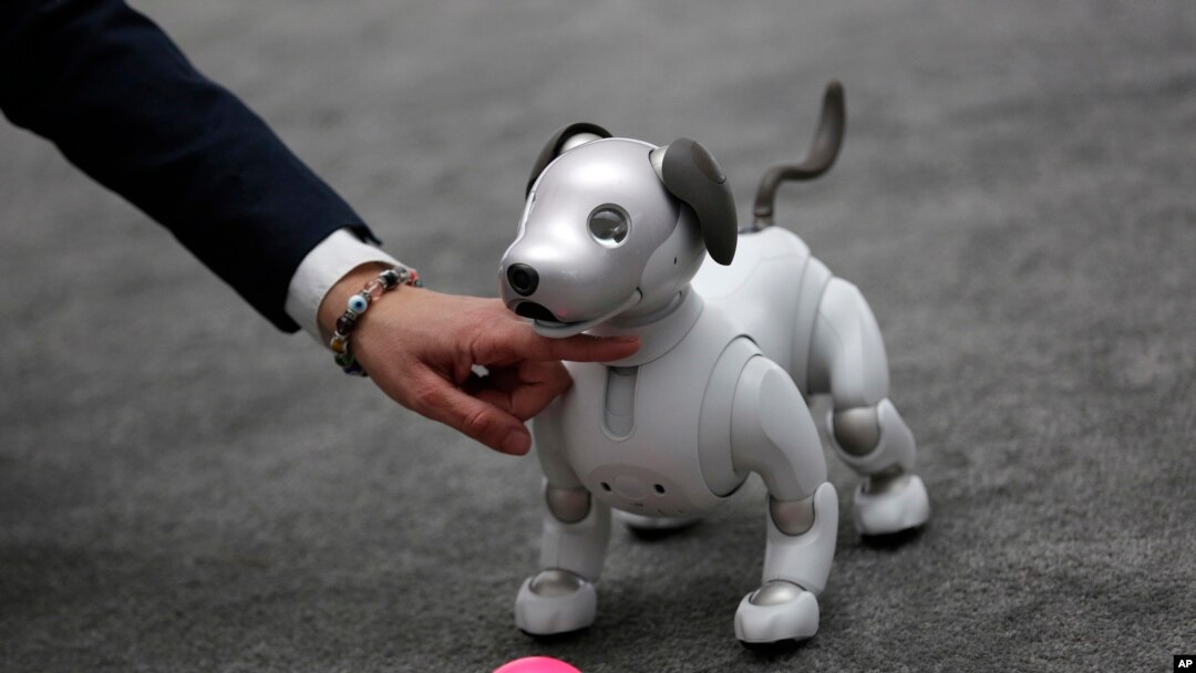 Konferensi WAIC di Shanghai menghadirkan robot anjing, Jueying X20, dapat menanggulangi berbagai gangguan fisik mulai dari tendangan, pukulan, dan dorongan. (Foto: Ilustrasi/AP)
