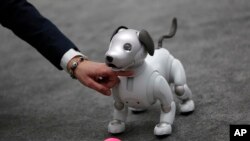 Konferensi WAIC di Shanghai menghadirkan robot anjing, Jueying X20, dapat menanggulangi berbagai gangguan fisik mulai dari tendangan, pukulan, dan dorongan. (Foto: Ilustrasi/AP)