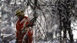 A Toronto Hydro worker tries to restore power, behind frozen tree branches, in the Scarborough suburb after an ice storm in Ontario, Canada. Over 30,000 residents have been left without power since the storm hit on Dec. 22, local media reported.