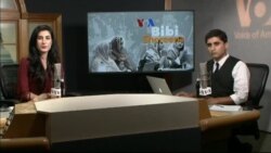 بي بي شیرینه – وي او اې ډيوه په ټیلې ویژن