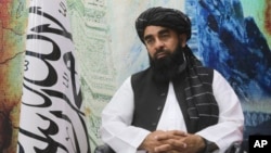 Portparol afganistanske vlade Zabihula Mudžahid