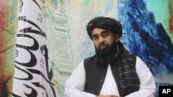 资料照片：塔利班发言人穆贾希德在阿富汗坎大哈接受采访。（2023年8月14日）