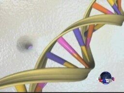 美高院：自然生成人类基因不受专利保护 