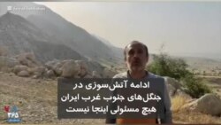 ادامه آتش‌سوزی در جنگل‌های جنوب غربی ایران؛ «هیچ مسئولی این‌جا نیست»