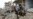 Islamic State Fighters Admit Kobani Defeat