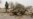4 Elephants Die of Poachers' Cyanide Poisoning in Zimbabwe
