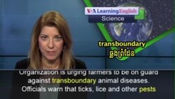 Trans-Border Diseases Killing Many Animals in Africa