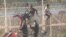 FILE - African migrants in this still image from video climb the border from Morocco to Spain's North African enclave of Ceuta, Spain, July 26, 2018. 