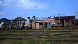 Papan bertuliskan "Tanah Dijual" terlihat di tengah hamparan sawah di Canggu, Kabupaten Badung, Bali, 22 Oktober 2024. (Foto: SONNY TUMBELAKA/AFP)