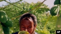 Tigray- Model Farmer, Gidey Jerdin